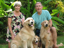 Cynthia Dearfield and Husband Stan, Goldens (from left) Spencer, Maile (hiding) and Max