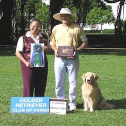 Golden owners